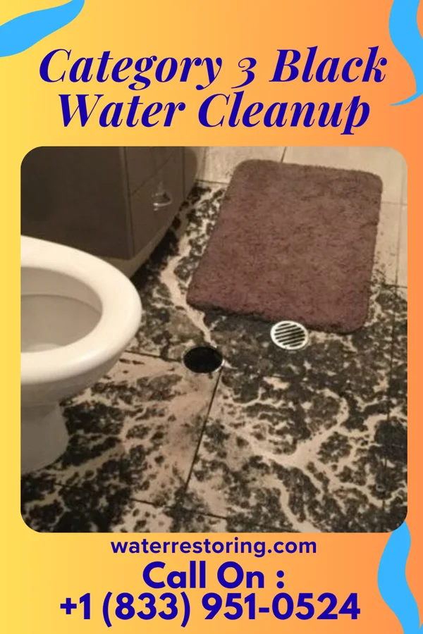 Category 3 Black Water Cleanup in Siloam Springs, AR